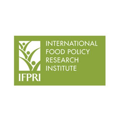  International Food Policy Research Institute 