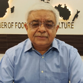 Mr. Vivek Mathur